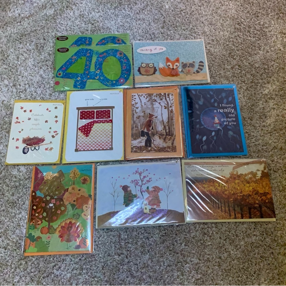 NIP 10 Papyrus Assorted Cards